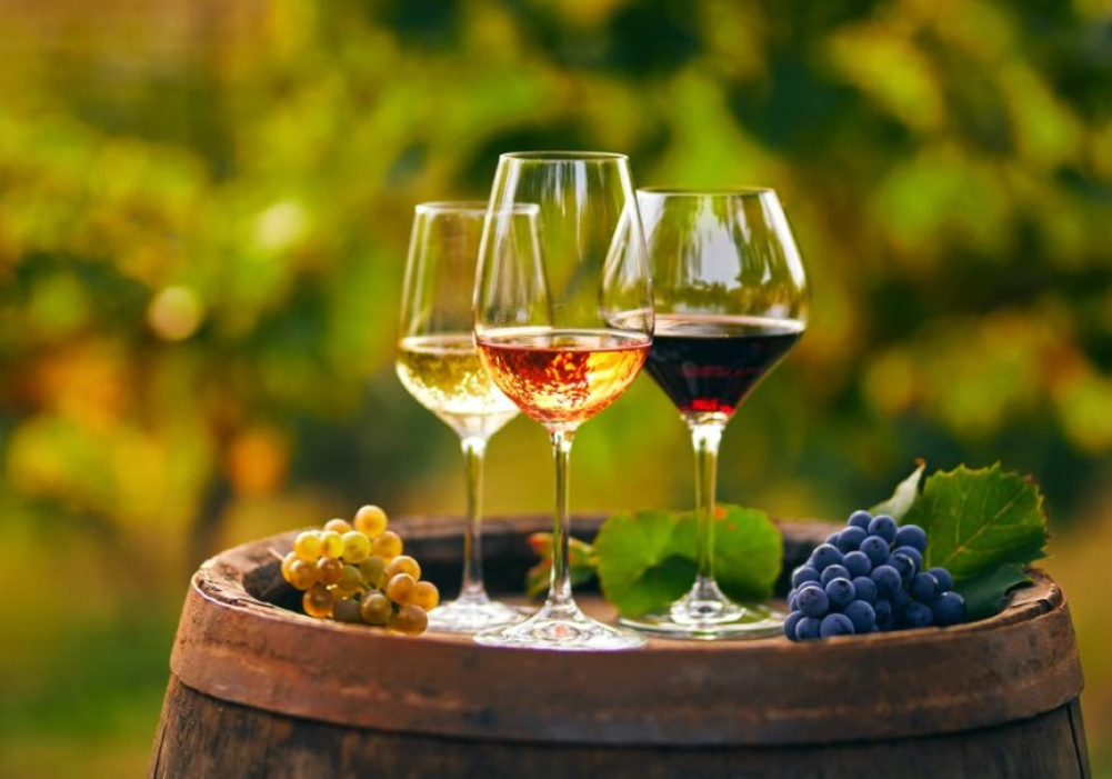 Qc-Ouest | Dégustation de vins et fromage 2026