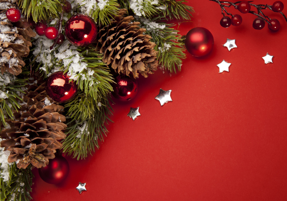 Laurentides | Dîner de Noël