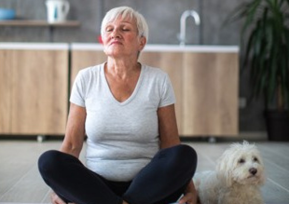 Outaouais | Dîner-conférence : Mon mieux-être j’y vois!