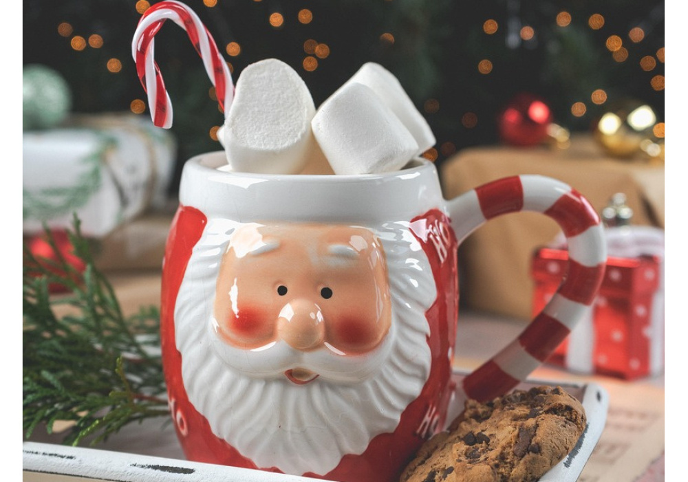 Montérégie  secteur Sud-ouest | Diner de Noël