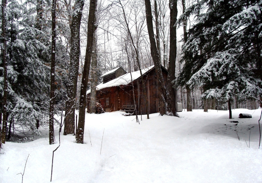 Montréal | Repas à la cabane à sucre