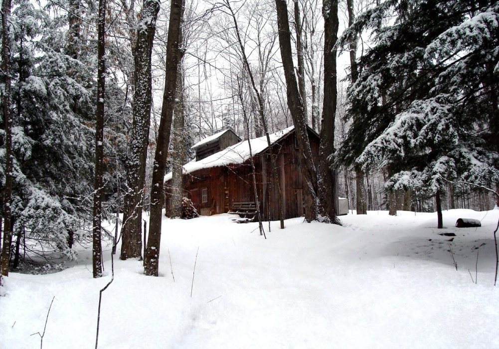 Montérégie | On se sucre le bec à la cabane !
