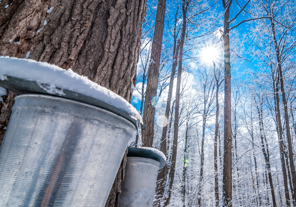 Estrie secteur Granby |  Repas cabane à sucre