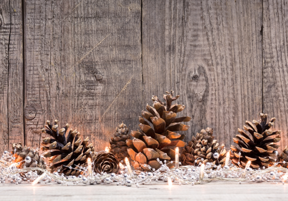 Outaouais | Sortie de Noël à Montréal