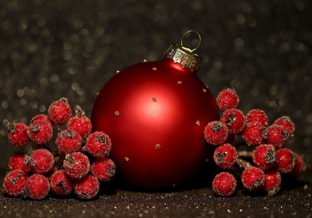 Gaspésie-Les Îles secteur Avignon/Bonaventure | Diner de Noël