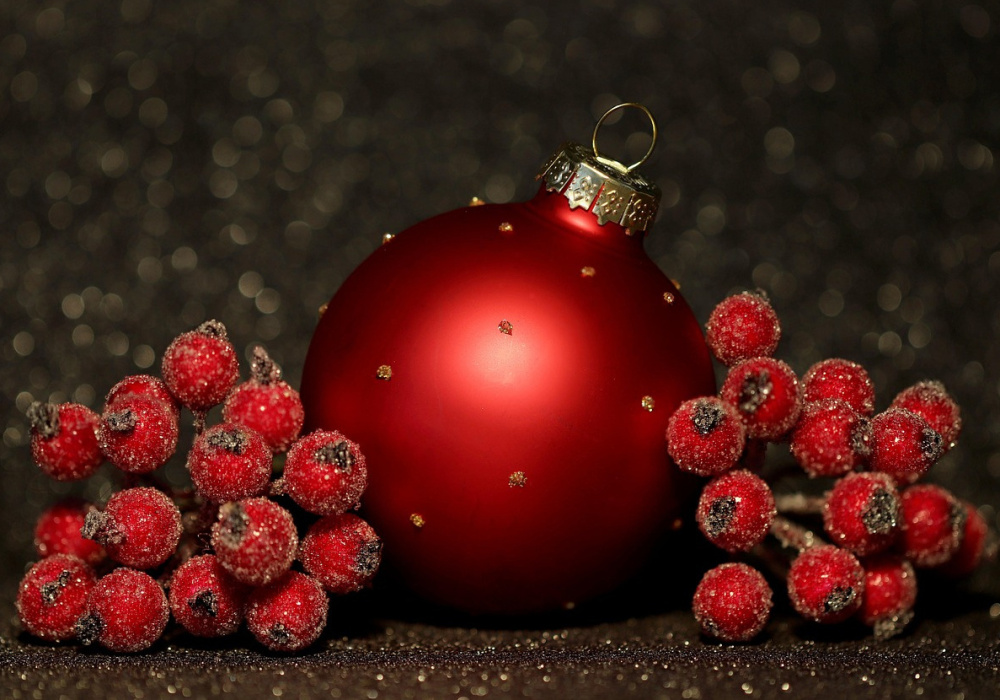 BSL secteur Rimouski-Mitis | Diner de Noël