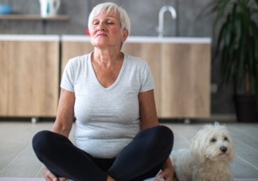 Saguenay | Yoga sur chaise