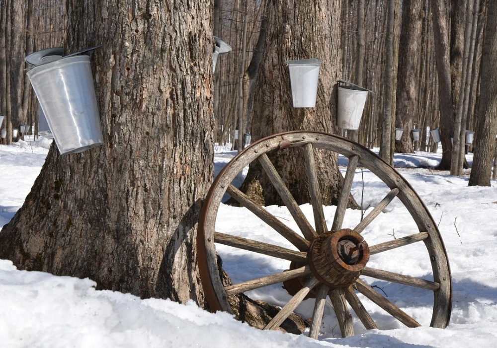 Bas-St-Laurent secteur Rimouski-Mitis | Cabane à sucre