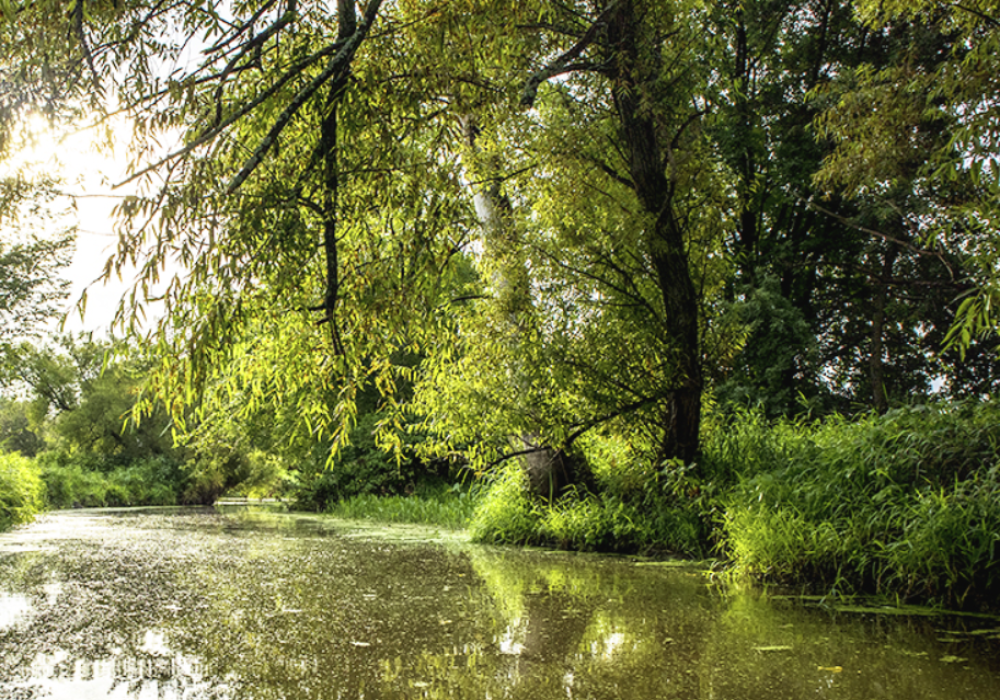 Lanaudière | Statera Expérience : La croisière des îles de Sorel