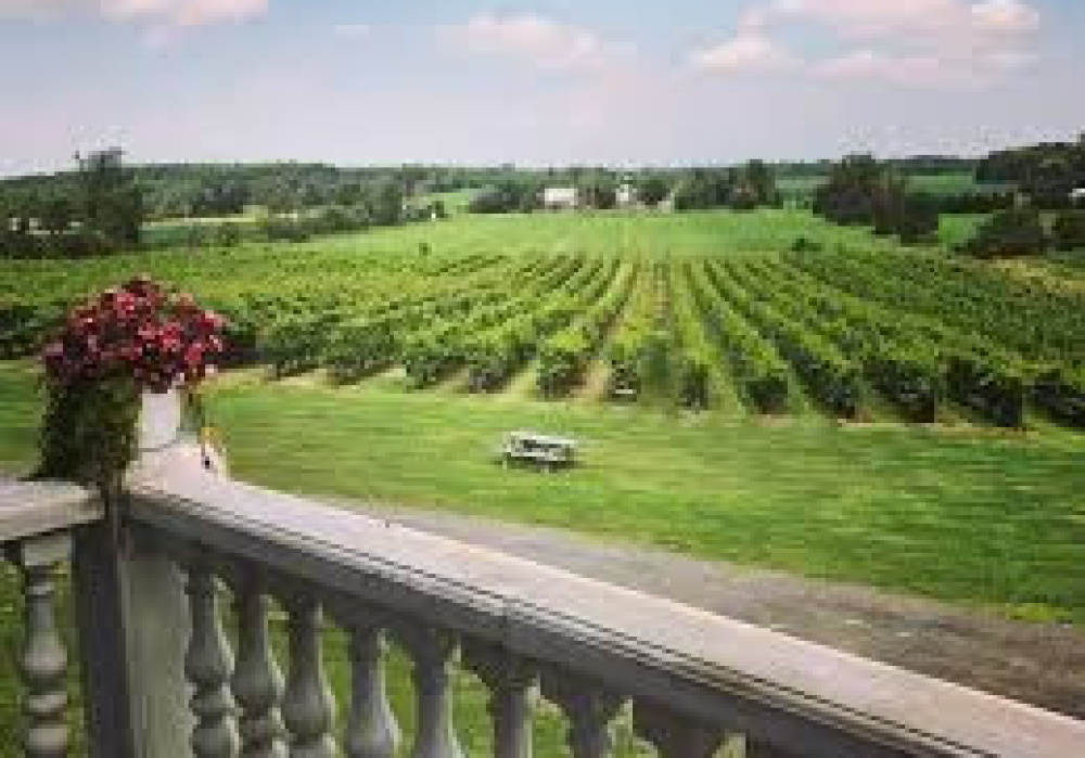 Montérégie secteur sud-ouest | Dégustation vins et fromages