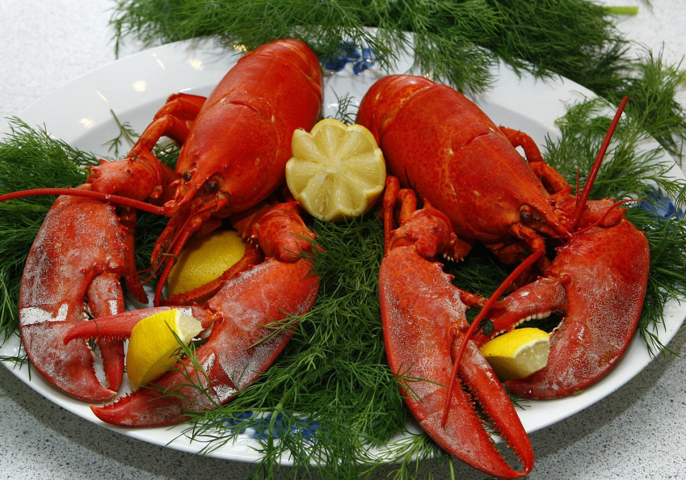 Gaspésie-les Îles secteur 02 | Dîner au homard